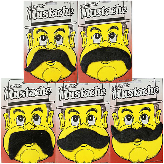 Disguise Mustache