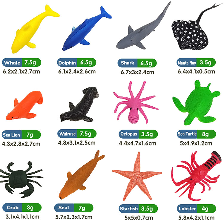 Marine Animals