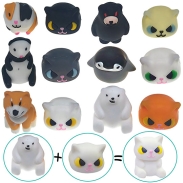 Ninjia Cats (Disguised Animals)