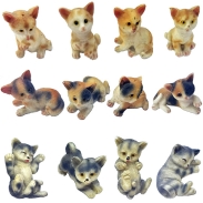 Adopt A Kitten