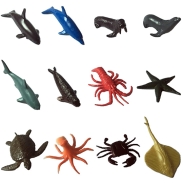 Marine Animals
