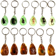 Insect Amber Keychains